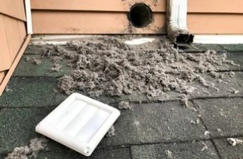 lint-collected-dryer-machine-after-260nw-2248181301 lint-collected-dryer-machine-after-260nw-2248181301